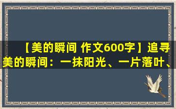 【美的瞬间 作文600字】追寻美的瞬间：一抹阳光、一片落叶、一抹微笑